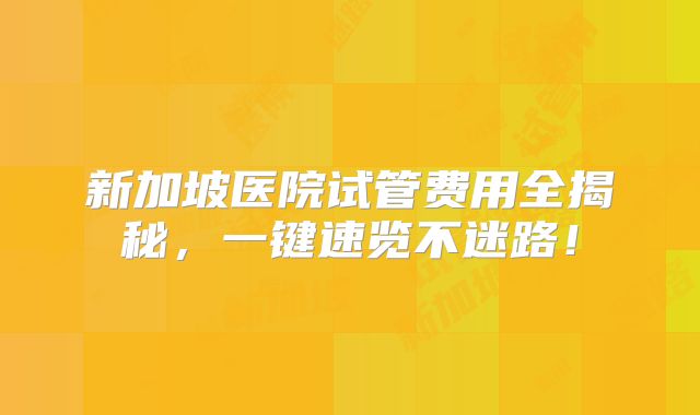 新加坡医院试管费用全揭秘，一键速览不迷路！
