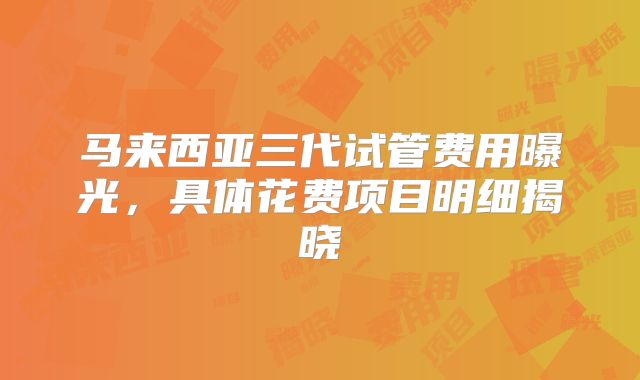 马来西亚三代试管费用曝光，具体花费项目明细揭晓