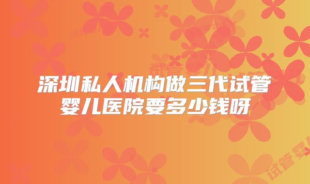 深圳私人机构做三代试管婴儿医院要多少钱呀