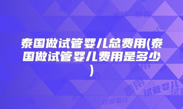 泰国做试管婴儿总费用(泰国做试管婴儿费用是多少)