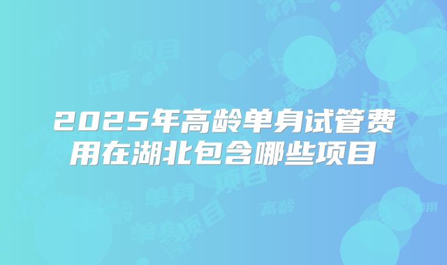2025年高龄单身试管费用在湖北包含哪些项目