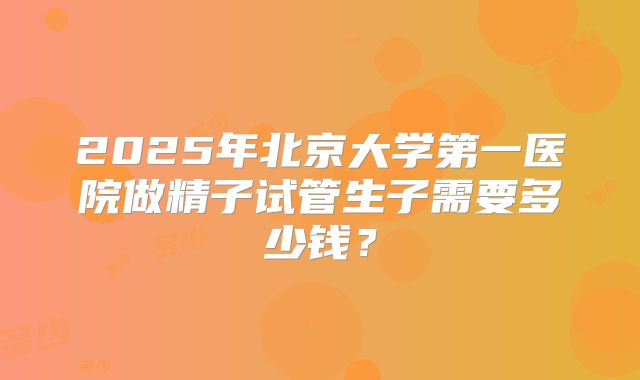 2025年北京大学第一医院做精子试管生子需要多少钱？