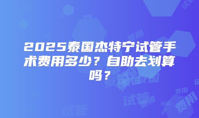 2025泰国杰特宁试管手术费用多少？自助去划算吗？