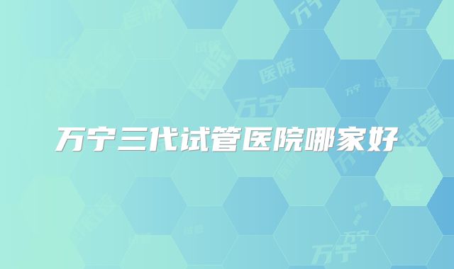 万宁三代试管医院哪家好
