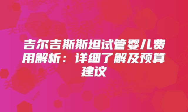 吉尔吉斯斯坦试管婴儿费用解析：详细了解及预算建议