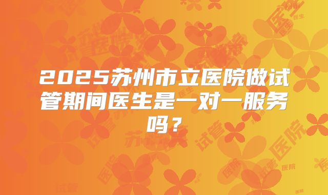 2025苏州市立医院做试管期间医生是一对一服务吗？