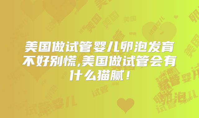美国做试管婴儿卵泡发育不好别慌,美国做试管会有什么猫腻!
