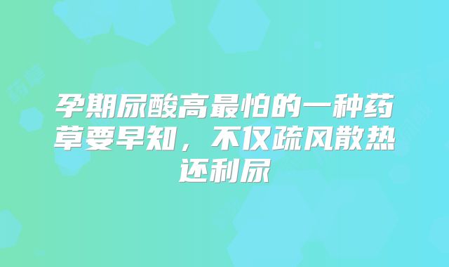 孕期尿酸高最怕的一种药草要早知，不仅疏风散热还利尿