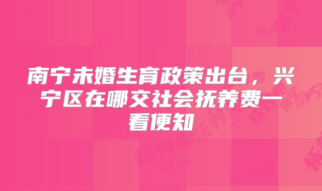 南宁未婚生育政策出台，兴宁区在哪交社会抚养费一看便知