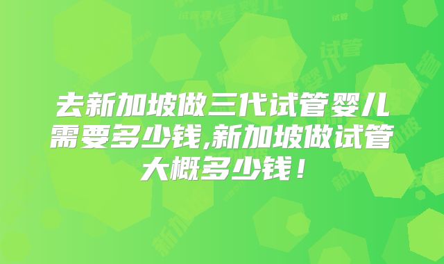 去新加坡做三代试管婴儿需要多少钱,新加坡做试管大概多少钱!