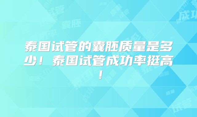 泰国试管的囊胚质量是多少！泰国试管成功率挺高！