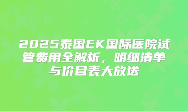 2025泰国EK国际医院试管费用全解析，明细清单与价目表大放送