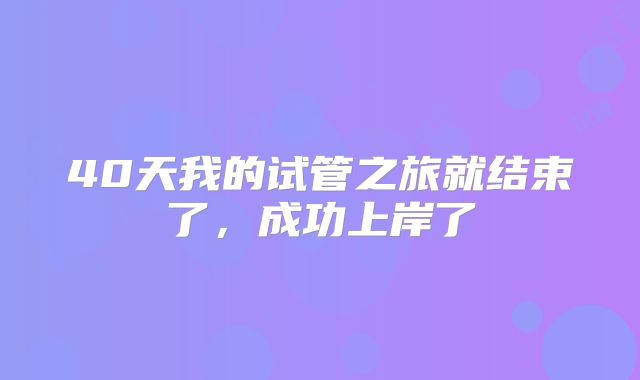 40天我的试管之旅就结束了，成功上岸了