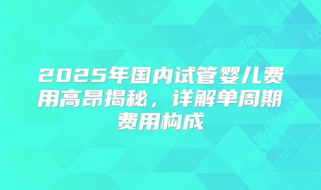 2025年国内试管婴儿费用高昂揭秘,详解单周期费用构成