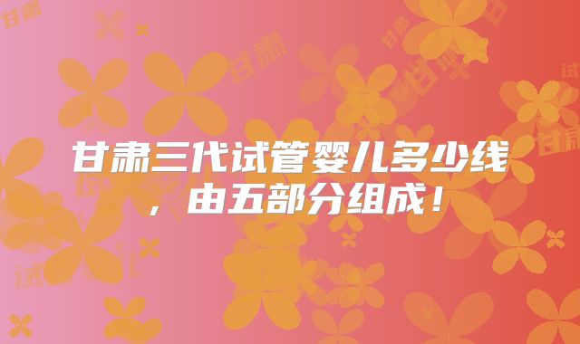 甘肃三代试管婴儿多少线，由五部分组成！