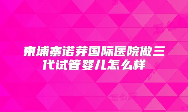柬埔寨诺芽国际医院做三代试管婴儿怎么样