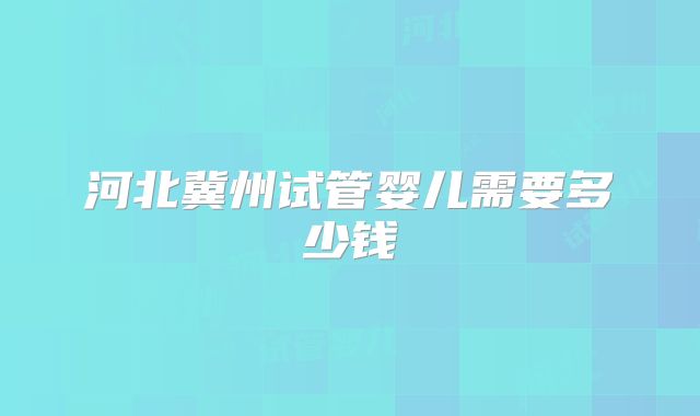 河北冀州试管婴儿需要多少钱