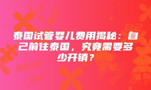 泰国试管婴儿费用揭秘：自己前往泰国，究竟需要多少开销？