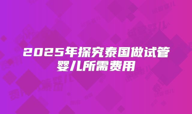 2025年探究泰国做试管婴儿所需费用