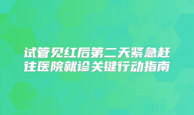 试管见红后第二天紧急赶往医院就诊关键行动指南
