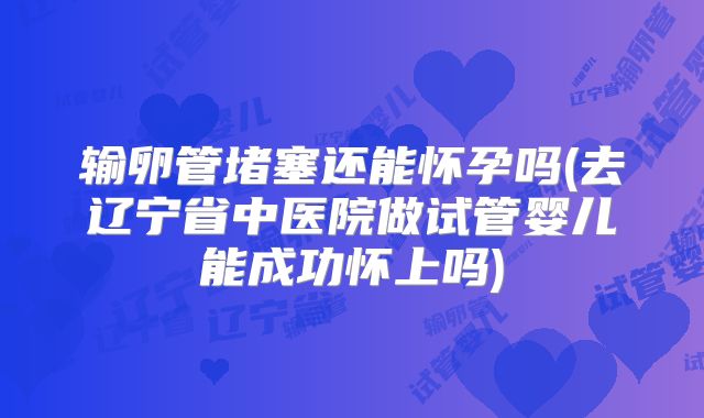 输卵管堵塞还能怀孕吗(去辽宁省中医院做试管婴儿能成功怀上吗)