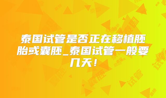 泰国试管是否正在移植胚胎或囊胚_泰国试管一般要几天！