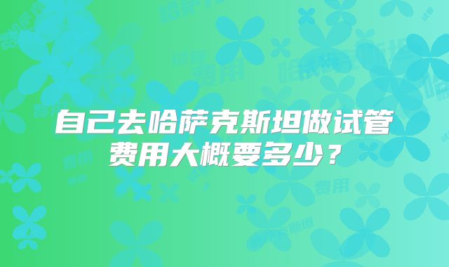 自己去哈萨克斯坦做试管费用大概要多少？