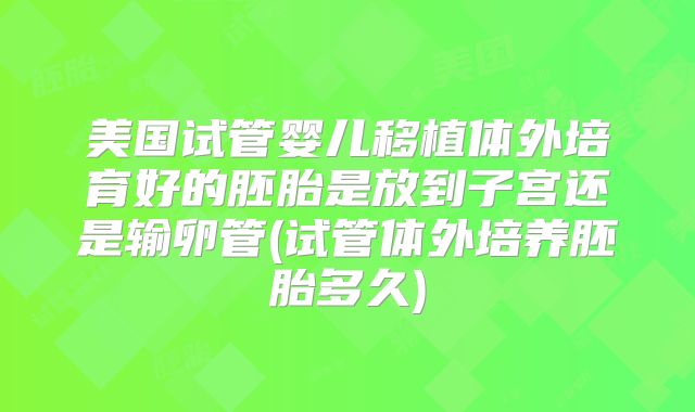 美国试管婴儿移植体外培育好的胚胎是放到子宫还是输卵管(试管体外培养胚胎多久)