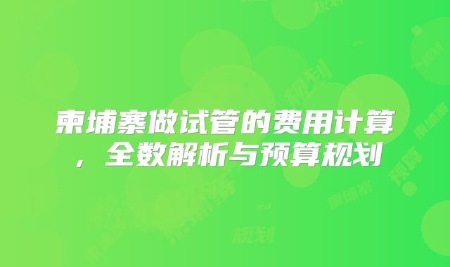 柬埔寨做试管的费用计算，全数解析与预算规划