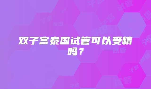 双子宫泰国试管可以受精吗？