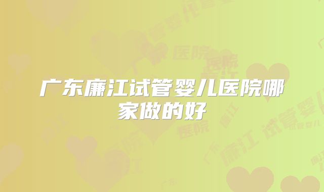 广东廉江试管婴儿医院哪家做的好