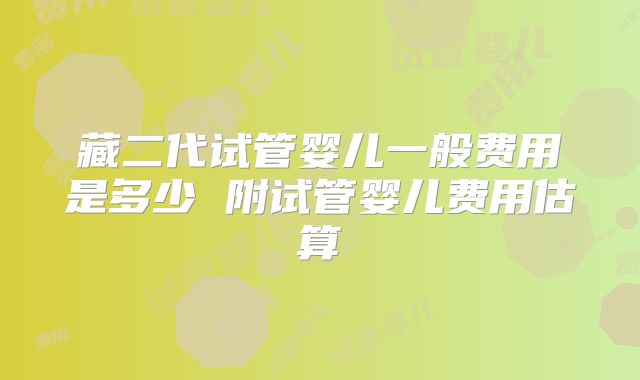 藏二代试管婴儿一般费用是多少 附试管婴儿费用估算