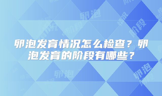 卵泡发育情况怎么检查？卵泡发育的阶段有哪些？