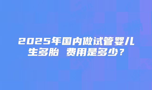 2025年国内做试管婴儿生多胎 费用是多少？