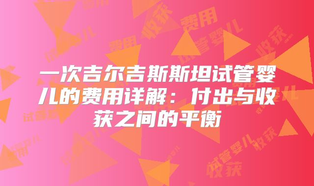 一次吉尔吉斯斯坦试管婴儿的费用详解：付出与收获之间的平衡