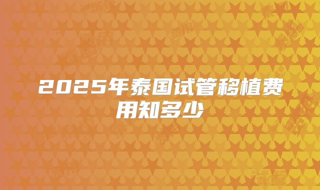 2025年泰国试管移植费用知多少