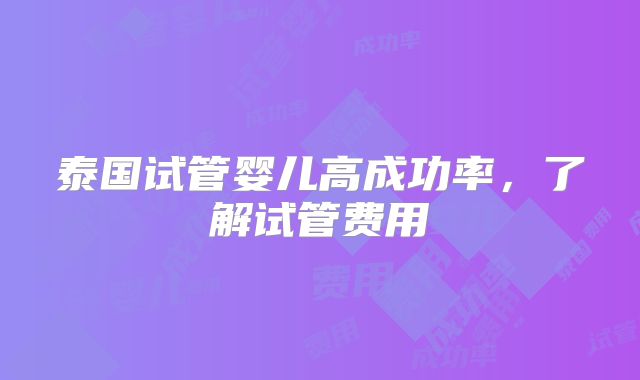 泰国试管婴儿高成功率，了解试管费用