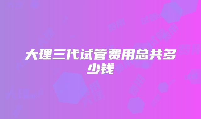大理三代试管费用总共多少钱