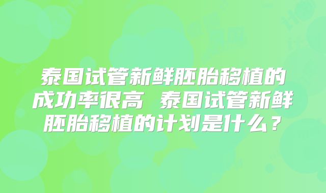 泰国试管新鲜胚胎移植的成功率很高 泰国试管新鲜胚胎移植的计划是什么？
