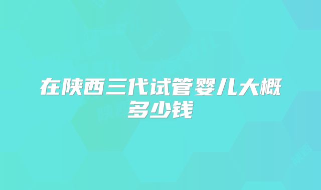 在陕西三代试管婴儿大概多少钱