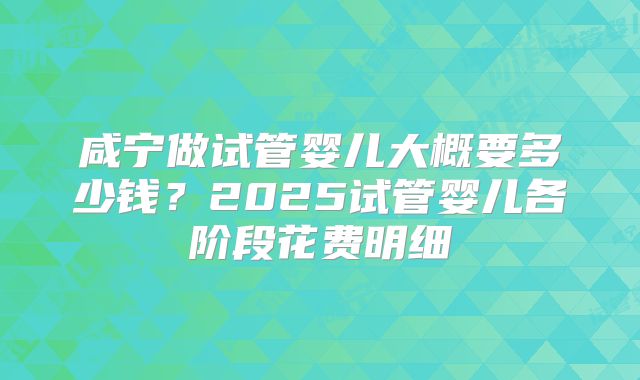 咸宁做试管婴儿大概要多少钱？2025试管婴儿各阶段花费明细
