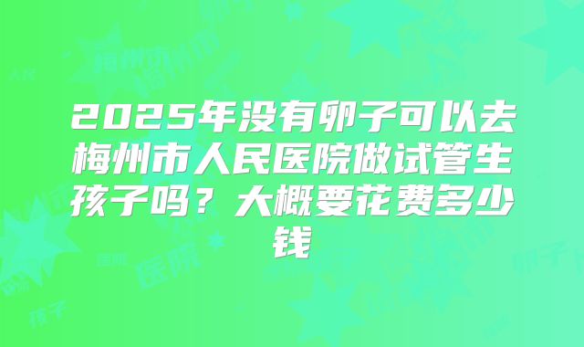 2025年没有卵子可以去梅州市人民医院做试管生孩子吗?大概要花费多少钱