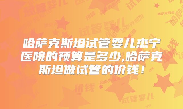 哈萨克斯坦试管婴儿杰宁医院的预算是多少,哈萨克斯坦做试管的价钱！
