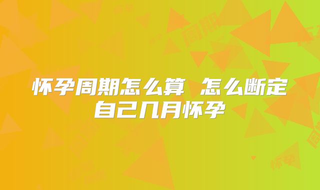 怀孕周期怎么算 怎么断定自己几月怀孕