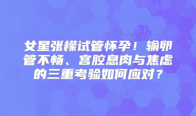 女星张檬试管怀孕！输卵管不畅、宫腔息肉与焦虑的三重考验如何应对？
