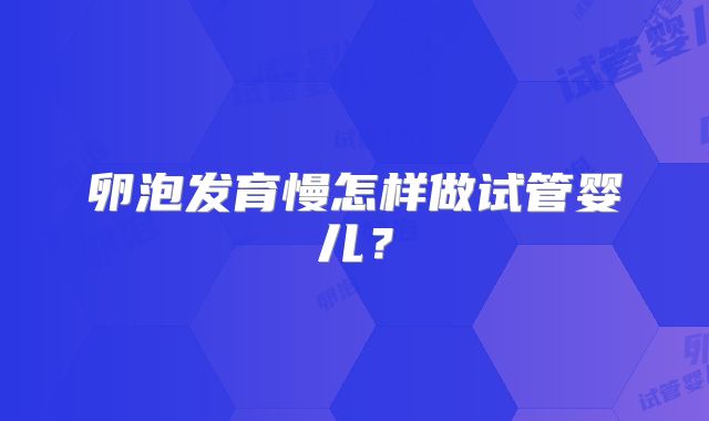 卵泡发育慢怎样做试管婴儿？