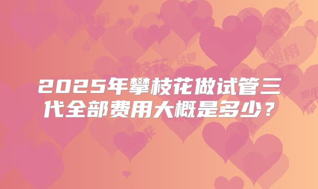 2025年攀枝花做试管三代全部费用大概是多少？