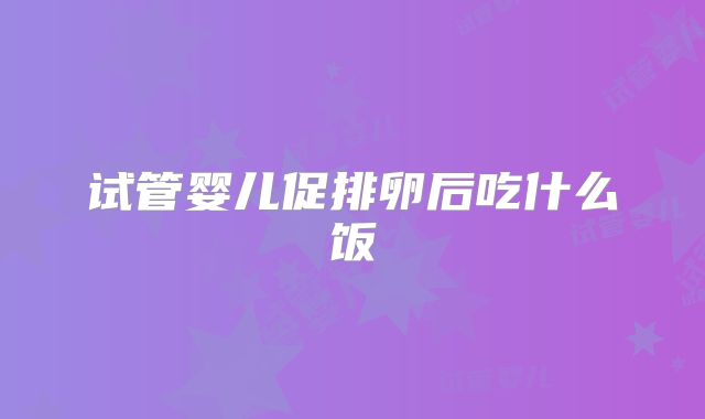 试管婴儿促排卵后吃什么饭