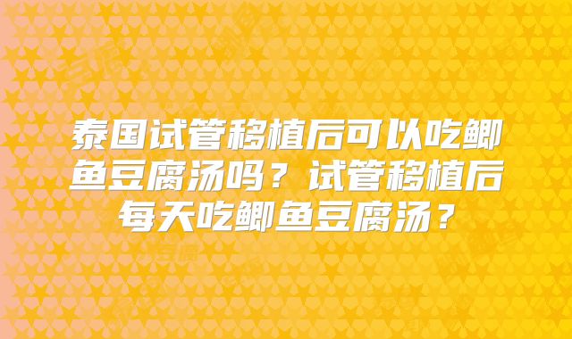 泰国试管移植后可以吃鲫鱼豆腐汤吗？试管移植后每天吃鲫鱼豆腐汤？