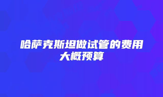 哈萨克斯坦做试管的费用大概预算